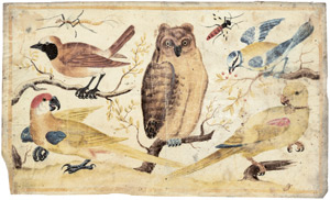 Lot 6245, Auction  104, Italienisch, 17. Jh. . Studienblatt mit Uhu, Papageien, Singvögeln und Insekten
