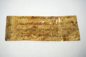 Los 2801 - Martyrologium hieronymianum - Fragment eines Blattes einer lateinischen Handschrift auf Pergament.  - 2 - thumb