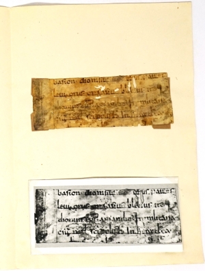 Los 2801 - Martyrologium hieronymianum - Fragment eines Blattes einer lateinischen Handschrift auf Pergament.  - 7 - thumb