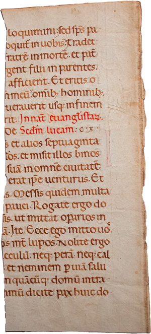 Los 2816 - Evangelienlektionar - Fragmentblatt einer lateinischen Handschrift auf Pergament - 1 - thumb