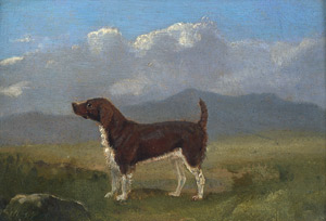 Lot 6141, Auction  101, Deutsch, Braun-weißer Jagdhund vor einer Landschaft