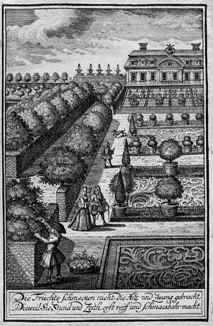 Lot 1690, Auction  102, Corvinus, G. S., Reiffere Früchte der Poesie 