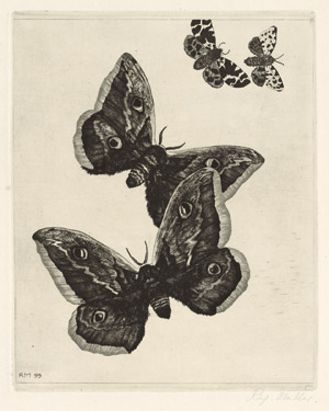 Lot 7330, Auction  102, Müller, Richard, Vier Schmetterlinge