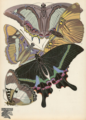 Lot 3779, Auction  103, Seguy, E. A., Papillons, vingt planches en phototypi