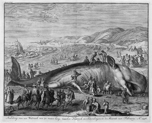 Lot 5656, Auction  103, Gouwen, Gillem van der, Der gestrandete Walfisch bei Scheveningen von 1598