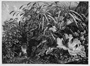 Lot 5347, Auction  104, Kolbe, Carl Wilhelm, Die Kuh im Schilfe