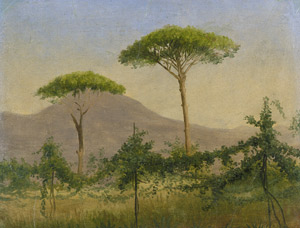 Lot 6055, Auction  104, Hammer, Hans Jørgen, Aussicht von Weinbergen auf den Vesuv