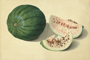 Lot 6383, Auction  104, Blaschek, Franz, Wassermelone