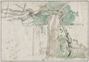 Lot 6470, Auction  104, Lundbye, Johan Thomas, Studie einer Pergola mit Wein in Frascati