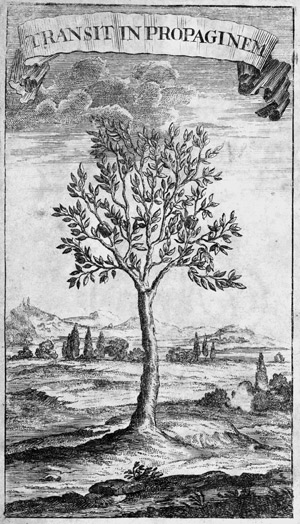 Lot 1686, Auction  105, Gryphius, Christian, Poetische Wälder