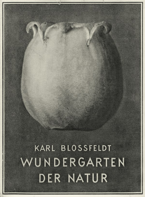 Lot 3920, Auction  105, Blossfeldt, Karl, Wundergarten der Natur,