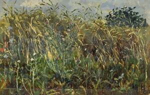 Lot 6212, Auction  105, Tübbecke, Paul Wilhelm, Feldrain mit Mohnblumen und wilder Distel