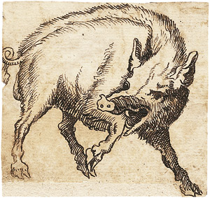 Lot 6253, Auction  105, Französisch, 17. Jh. Ein Wildschwein