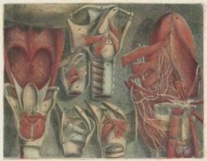 Lot 310, Auction  106, Gebelin, A. C. de., Histoire naturelle de la Parole