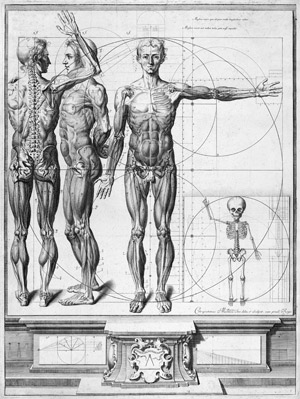 Lot 5181, Auction  106, Martínez y Sorlí, Crisóstomo Alejandrino José, Anatomische darstellungen zur Myologie und zur Osteopathie