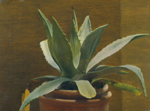 Lot 6127, Auction  106, Dänisch, Anfang 20. Jh. Agave in einem Terracottatopf