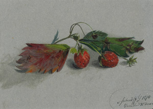 Lot 6712, Auction  106, Seckendorff, von, Studienblatt mit Walderdbeeren