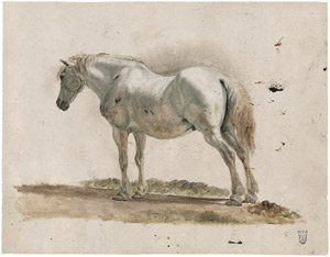 Lot 6638, Auction  107, Bürkel, Heinrich, Stehender Schimmel von hinten