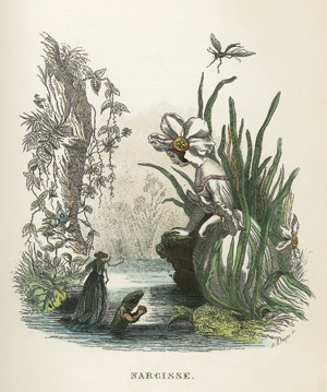 Lot 1822, Auction  108, Böttger, Adolf und Grandville, J. J. - Illustr., Die Pilgerfahrt der Blumengeister