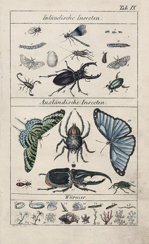 Lot 2010, Auction  108, Glatz, Jakob, Naturhistorisches Bilder- und Lese-Buch