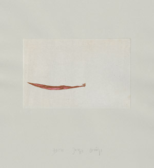 Lot 8029, Auction  108, Beuys, Joseph, Meerengel die Seegurke