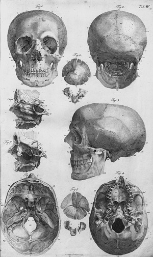 Lot 327, Auction  109, Loder, Justus Christian, Tabulae anatomicae quas ad illustrandam humani corporis