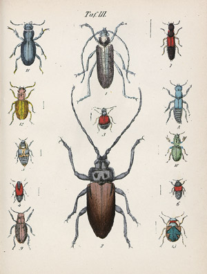 Lot 430, Auction  109, Zoologie II., Konvolut von 15 Bänden zur Koleopterologie