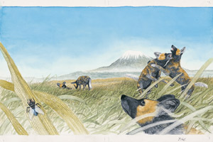 Lot 1823, Auction  110, Schulze, Heinz-Helge, Tekuela. Ein Tag im Leben eines Wildhundes. Originalentwürfe in Gouache 