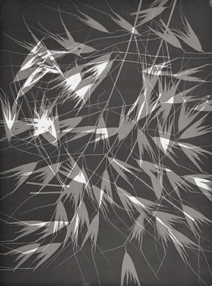 Lot 4214, Auction  110, Landauer, Lou, Photograms of wild oats