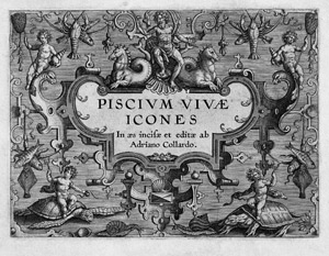 Lot 5082, Auction  110, Collaert, Adriaen, Piscium Vivae Icones