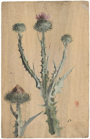 Lot 6173, Auction  110, Bailly, Alexandre, Studie einer Distel