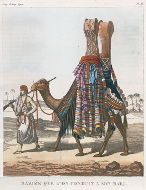 Lot 30, Auction  111, Lyon, George Francis, Voyage dans l'intérieurs de l'Afrique septentrionale