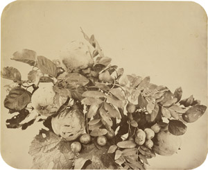 Lot 4018, Auction  111, Braun, Adolphe, Still life with quinces and berries