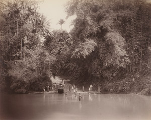 Lot 4026, Auction  111, Ceylon, Jungle and river landscapes of Ceylon