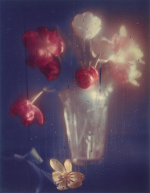 Lot 4202, Auction  111, Horst, Horst P., Flower still life throiugh rainy window