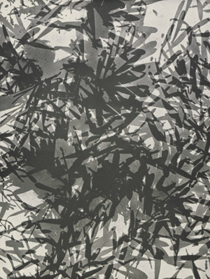 Lot 4238, Auction  111, Landauer, Lou, Wild pepper tree photogram