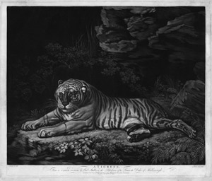 Lot 5291, Auction  111, Laurie, Robert, Liegende Tigerin (A Tigress)