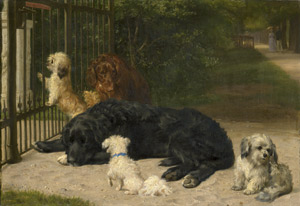 Lot 6140, Auction  111, Bache, Otto, "Hunde müssen draußen bleiben!"