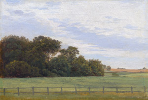 Lot 6169, Auction  111, Kyhn, Vilhelm, Sommerlandschaft bei Jyderup auf Seeland