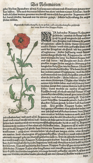 Lot 240, Auction  112, Hortus Sanitatis, 6 Werke in 5 Bänden, teils als größere, umfangreiche Fragmente