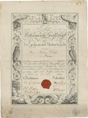 Los 2544 - Wetterauische Gesellschaft - 17  handschriftl. oder gedruckte Dokumente - 0 - thumb