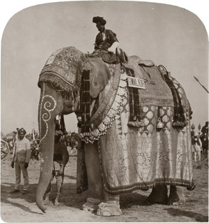 Los 4025 - British India - Views of the Delhi Durbar of 1903 - 0 - thumb