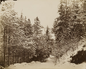 Lot 4060, Auction  112, Kotzsch, August, Forest in winter