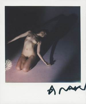 Lot 4094, Auction  112, Araki, Nobuyoshi, Nude