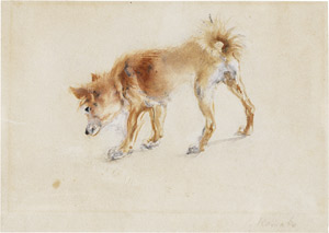 Lot 6595, Auction  112, Romako, Anton, Ein Spitz