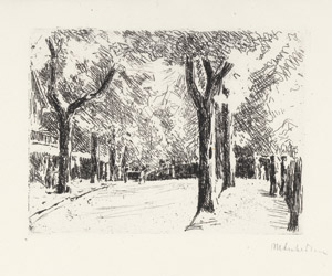 Lot 3334, Auction  113, Friedländer, Max J. und Liebermann, Max - Illustr., Max Liebermann (Vorzugsausgabe)