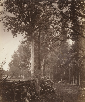 Lot 4049, Auction  113, Kotzsch, August, Stone wall in forest; Picturesque farm