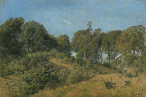 Lot 6170, Auction  113, Ravn-Hansen, Louise Christiane, Studie eines Waldstückes im Sommer