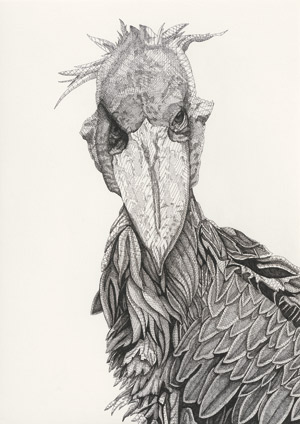 Lot 6350, Auction  113, Fioratti Loreto, Arianna, "Shoebill"