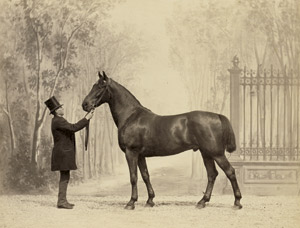 Lot 4021, Auction  114, Delton, Louis-Jean, Prize-winning horses of the World's Fair, Paris 1867